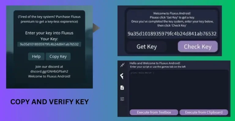 copy and verify fluxus key