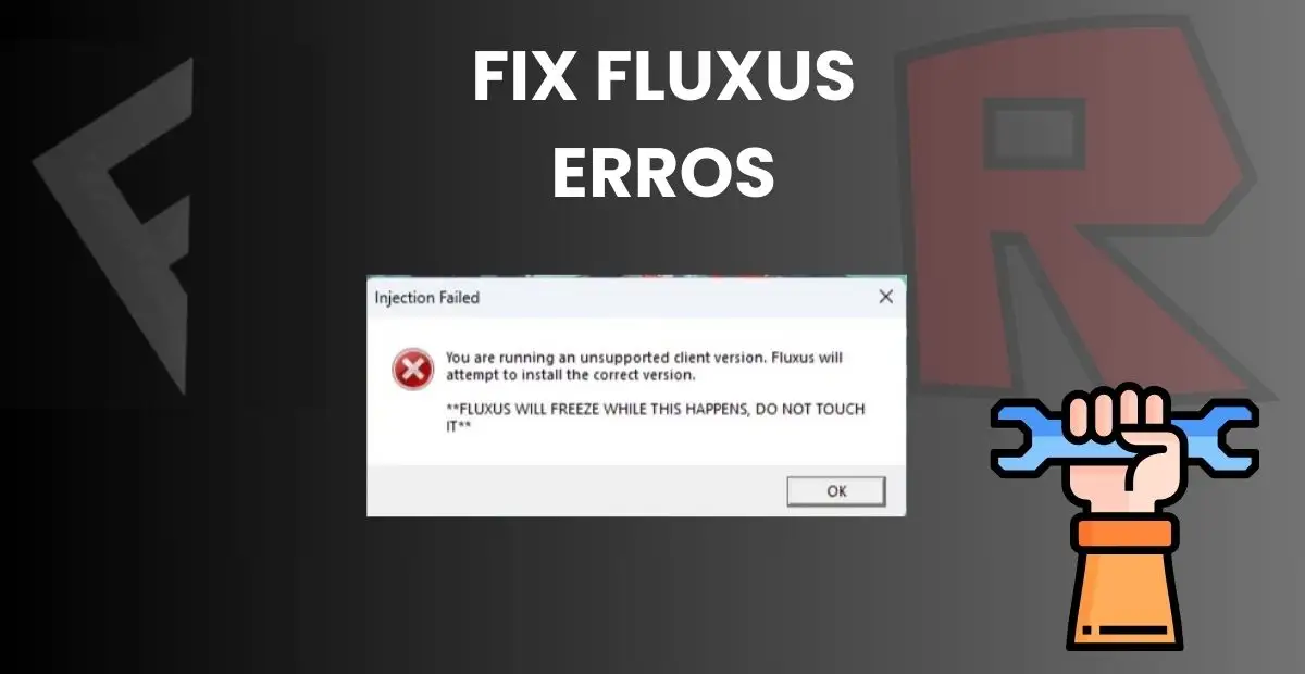 Fluxus Errors and Solutions